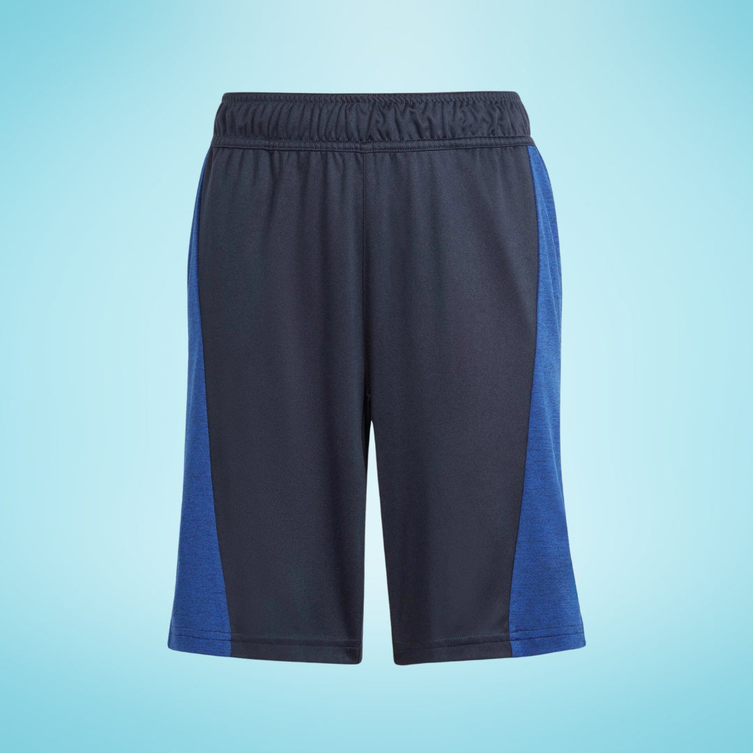 Self Design Black and Blue Sports Shorts